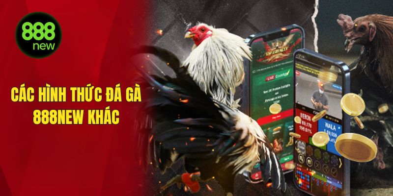 Các hình thức đá gà 888NEW khác
