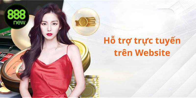 Hỗ trợ trực tiếp trên website